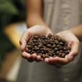 The History of Fair Trade Coffee: From Bean to Cup