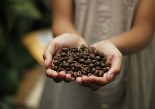 The History of Fair Trade Coffee: From Bean to Cup